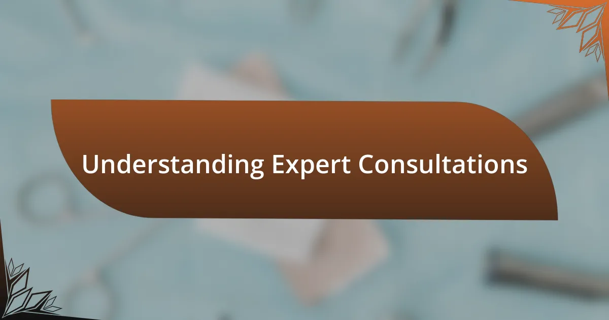 Understanding Expert Consultations