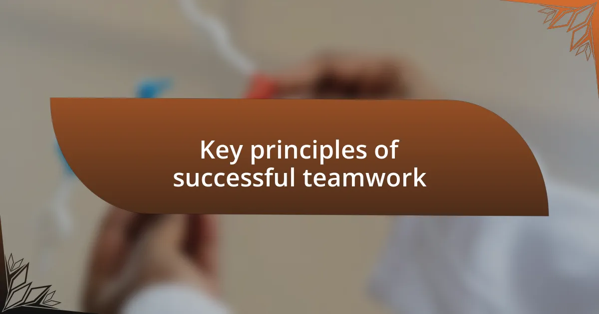 Key principles of successful teamwork